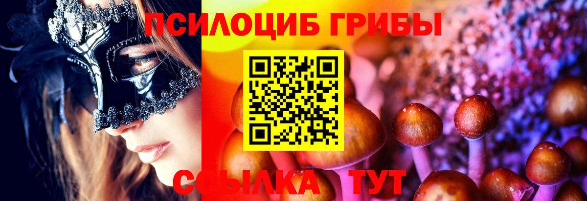 Галлюциногенные грибы GOLDEN TEACHER Сосновоборск